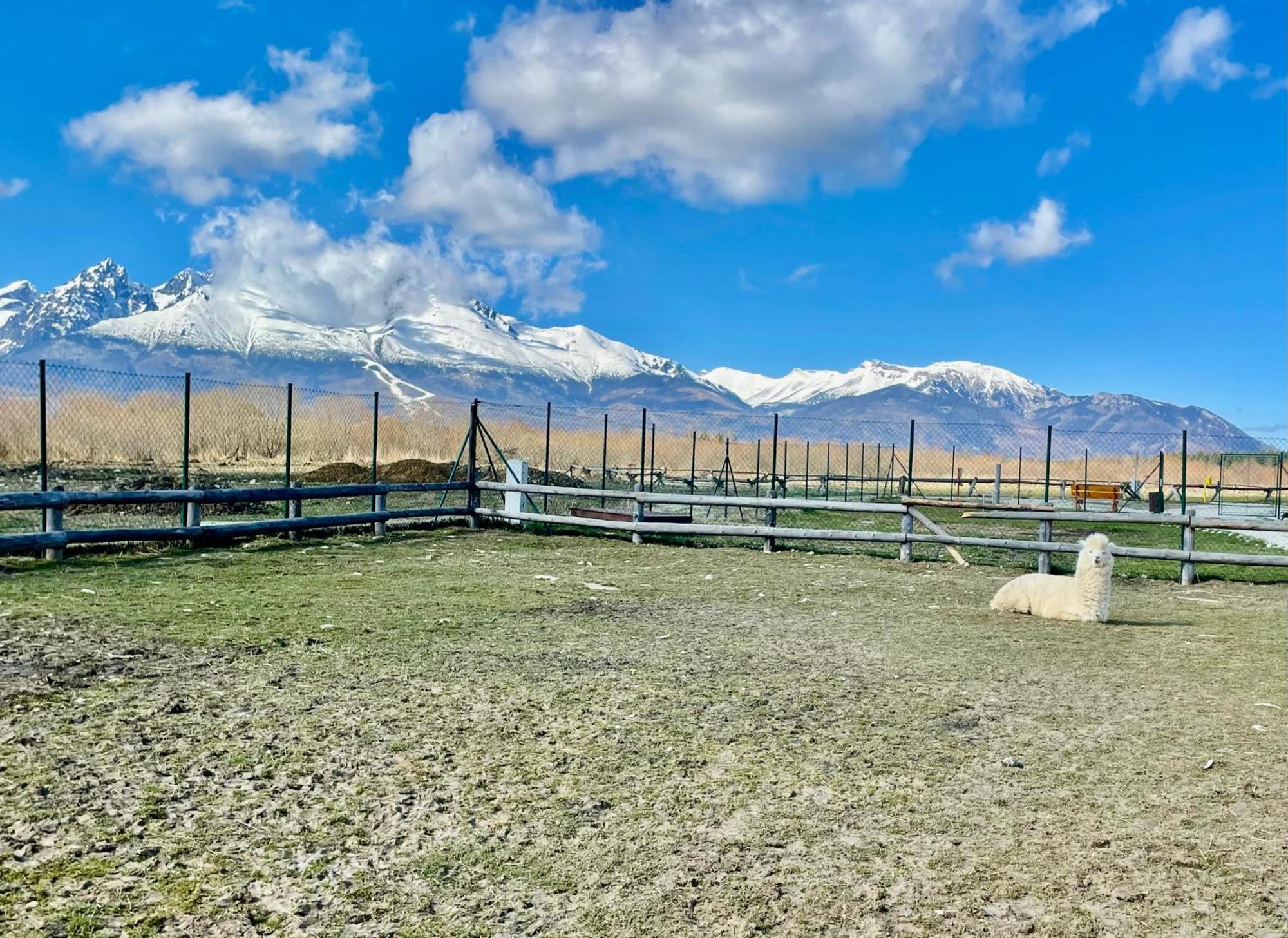 Apartment Jenny- Stunning View Of High Tatras Велька-Ломница Экстерьер фото